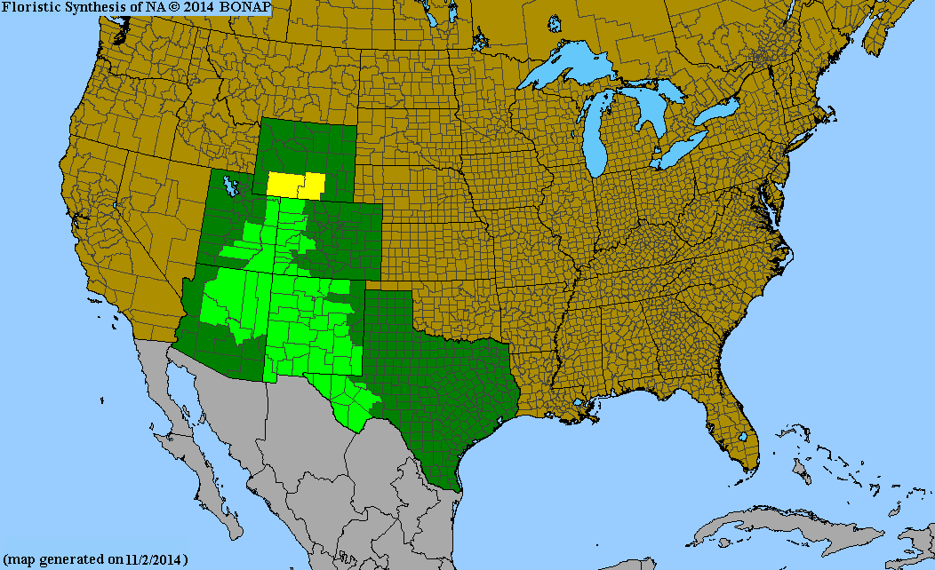 County distribution map of Populus deltoides ssp. wislizeni - Eastern Cottonwood